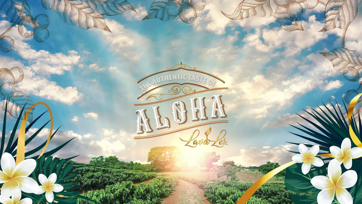 Scenery with sun and plumeria decorations. Text: 'The Authentic Taste of Aloha'. Lava Lei logo.